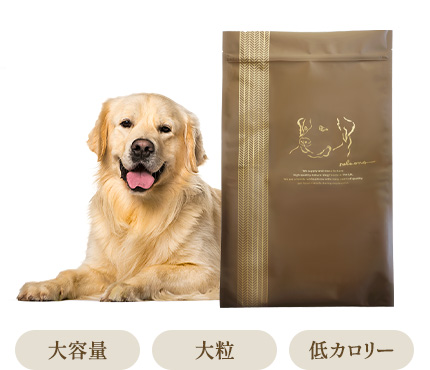 ネルソンズドッグフード 大型犬用
