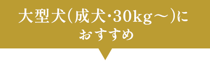 大型犬(成犬・30kg~)におすすめ
