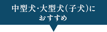 大型犬(子犬)・中型犬におすすめ