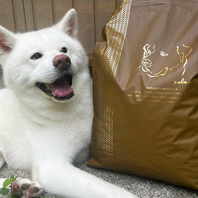 ネルソンズドッグフード 大型犬用