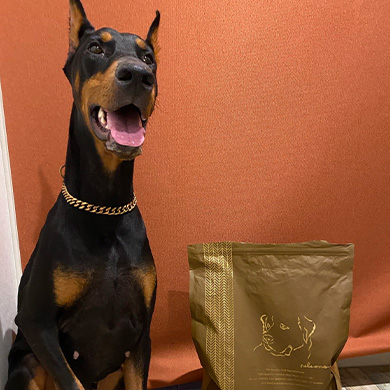 ネルソンズドッグフード 大型犬用