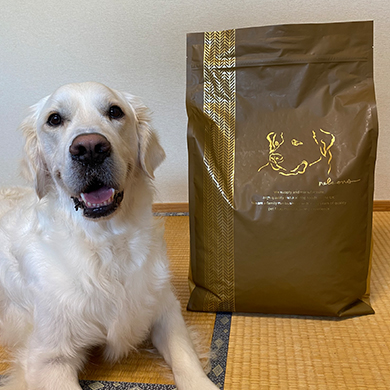 ネルソンズドッグフード 大型犬用