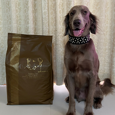ネルソンズドッグフード 大型犬用